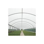 Atout loisir - bche de serre blanche spcial ppinire - long 9 m, larg 9. 20 m