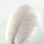 Lot de 10 plumes d'autruche (blanc) creny de 30 à 35 cm pour décoration d'intérieur ou mariage Lot de 10 plumes d'autruche (blanc) creny de 30 à 35 cm pour décoration d'intérieur ou mariage