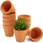 Lot de 10 pot de succulent en terre pots de fleurs en argile avec trou de drainage pour int�rieur et ...