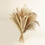 Lot de 100 d�cors d'herbe de pampa, bouquet d'herbe s�ch�e de 43, 2 cm pour vase, arrangements d'herbe ...
