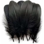 Lot de 100 plumes d'oie naturelles pour v�tements, noir