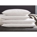 2 oreillers mousse  mmoire de forme 40x70 cm lot de 2 60 kg / m3 certifi oeko tex et certipur fabriqu ...