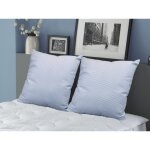 Dodo - lot de 2 oreillers naturels fermes plumettes - 60x60 cm - meribel
