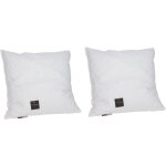 Lot de 2 oreillers jean louis sherrer m�moire de forme 60 x 60 cm selene