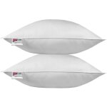 Homescapes - lot de 2 oreillers en plumes de canard, 65 x 65 cm