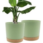 Lot de 2 pots de plantes 30. 5cm, pots pour plantes d'int�rieur avec trous de drainage et base amovible, ...
