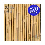 Lot de 20 tuteur en bambou 60 cm, 5 - 8 mm, tubes en bambou pour plantes et arbres, baguettes de bambou, ...