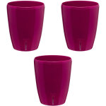 Lot de 3 pots pour orchid�es avec r�serve d'eau - orchidea pourpre 2 litres