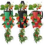 Lot de 3 sacs de culture pour à suspendre, sac pour plantes à poser, sacs de avec 12 trous plantation ... Lot de 3 sacs de culture pour à suspendre, sac pour plantes à poser, sacs de avec 12 trous plantation ...