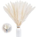 Lot de 30 herbe de pampa s�ch�e vases de fleurs artificielles s�ch�es de 60 cm, d�coration d'herbe de ...
