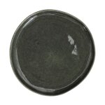 Lot de 6 assiettes plates 'black forest' 27cm vert