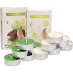Lot de 6 bougies chauffe - plat parfum�es - dur�e de combustion : 4 heures (fleurs blanches + sapin) ...