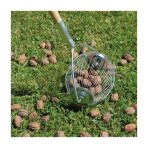 Lucifer - boule ramasse noix