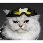 Lunettes de soleil taille s jaune: lunettes de soleil horizon pour chiens et chats