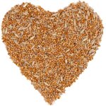10 kg de nourriture pour perruches lyra pet 10 kg de nourriture pour perruches lyra pet