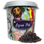 10 kg de raisins secs lyra pet dans un bac de 30 l