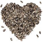 5 kg de graines de tournesol lyra pet ray�es hk bulgarie