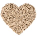 Lyra pet - kg de graines de tournesol � pel�es bruch hk bulgarie