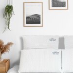 Maison aubertin - lot de 2 oreillers malva ergonomique - 60 x 40 cm
