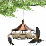 Mangeoire � oiseaux exterieur en fer galvanis�, distributeur boules de graisse oiseaux suspendu avec ...