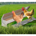 Mangeoire xxl pour poules distributeur automatique  pdale en acier 10 kg