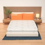 Miasuite - matelas 160x200 goemon, haut de 24 cm - mousse, déhoussable, housse en aloe vera Miasuite - matelas 160x200 goemon, haut de 24 cm - mousse, déhoussable, housse en aloe vera