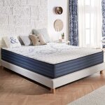 Naturalex - matelas perfect sleep - 80x190 cm - mousse m�moire de forme hr, blue latex, hypoallerg�nique ...