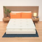 Miasuite - matelas 180x200 mousse  mmoire de forme dhoussable, hauteur 25 cm - 100% aloe vera premium ...