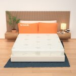 Miasuite - matelas 160x200 en mousse à mémoire de forme déhoussable, hauteur 17 cm - 100% aloe vera baldo ... Miasuite - matelas 160x200 en mousse à mémoire de forme déhoussable, hauteur 17 cm - 100% aloe vera baldo ...