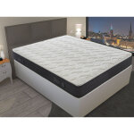 Ilovesleep - matelas 160x200 rafra�chissant � m�moire de forme 11 zones diff�rentes - orthop�die - anatomique ...