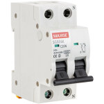 Disjoncteur rsidentiel 1p + n 10 - 40a 6ka courbe c maxge 32 a