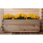 Maxi jardini�re en bois 40x120x40h cm