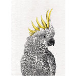 Maxwell and williams - maxwell & williams marini ferlazzo birds cloth de serviette de cuisine avec motif ...