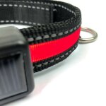 Mediawave store - fubuca collier rglable led pour chiens avec charge solaire et usb 3 tailles couleur: ...