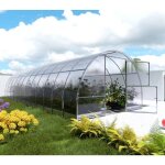 Meistro kodas - certifi� serre klasika easy 3 x 8 m (24 m�), 6 mm avec rev�tement en polycarbonate