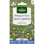 Gazon japonais - 4 m - mlange de fleurs vilmorin