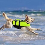 Gilet de sauvetage pour chien portable gilet de natation pour chien gilet de sauvetage pour animaux de ...