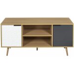 The home deco factory - meuble tv swen 2 portes et 2 niches