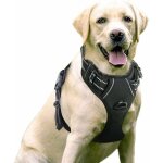 Harnais chien anti traction, arnet pour chien facile  mettre harnais rflchissant rglable avec attache ...