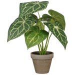 Mica decorations - mica d�corations plante d�corative caladium � 21 x 28 cm artificiel