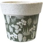 Mini cache pot en bambou pour mini succulentes