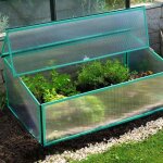 Mini serre levana 1 - structure 0. 5m� en alu et polycarbonate 4 mm, couleur vert