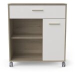 Miroytengo - calicosy - desserte micro - ondes 1 tiroir, 1 porte et 2 niches h90, 3 cm - mint