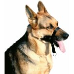 Mis. 5 museau: museli�re de dressage en nylon pour chiens