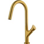 Paini france robinetterie - mitigeur tropic pvd or bross�