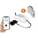 Module r�cepteur connect�, wifigate + transfo 12v - scs sentinel