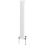Radiateur traditionnel � double colonne 1800 x 202 mm, chauffage moderne vertical en acier au carbone ...