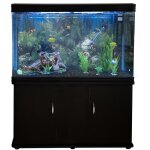 Monstershop ? aquarium de 300 litres, kits et accessoires de dmarrage, plantes, graviers, meuble noir, ...