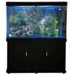 Monstershop ? aquarium noir de 300 litres, kits et accessoires de d�marrage, plantes, graviers bleu, ...