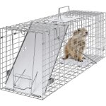 Mophorn ? cage pi�ge � animaux vivants 785x254x305 mm ? fil de fer galvanis� ? conception sans cruaut� ...